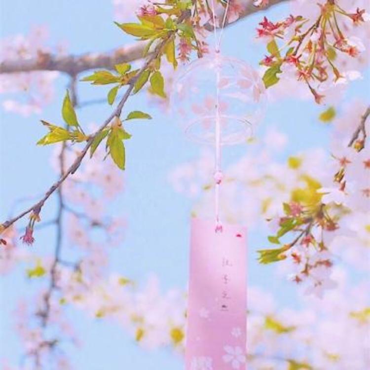 阿南敦子（饰 久保太太） - 猪蜜蜜电视剧大全在线观看11 - 网页视频